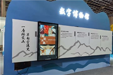 Qixia Mountain Digital Museum case